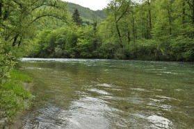 Kupa/Kolpa River (Slo/HR)